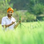 Annadata Sukhibhava: ఏపీ రైతులకు ఆర్థిక సాయం.. స్టేటస్ చెక్ చేయండిలా! Annadata Sukhibhava: ఏపీ రైతులకు ఆర్థిక సాయం.. స్టేటస్ చెక్ చేయండిలా!