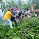 Cyclone Arnab Kills: ఆంధ్రప్రదేశ్‌లో అర్నాబ్ తుపాను బీభత్సానికి ప్రాణనష్టం ఎంత?