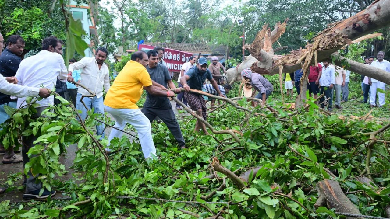 Cyclone Arnab Kills: ఆంధ్రప్రదేశ్‌లో అర్నాబ్ తుపాను బీభత్సానికి ప్రాణనష్టం ఎంత?