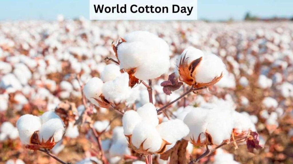 Cotton Day
