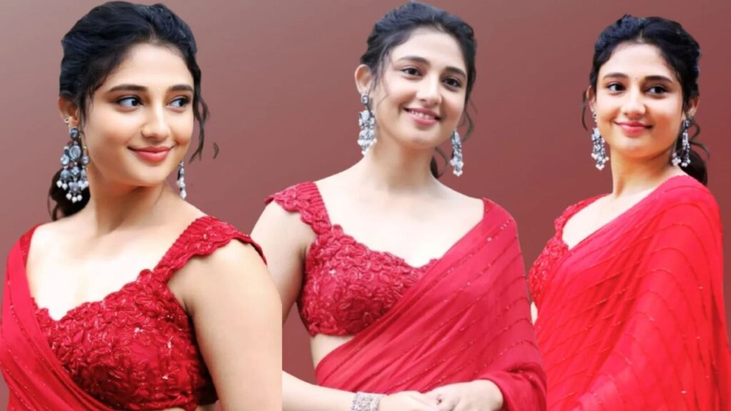 Rithika Nayak: టాలీవుడ్లో వరుస అవకాశాలతో రితికా బిజీ కావడానికి కారణమేమిటి?